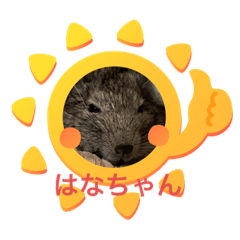 [LINEスタンプ] はなちゃんファム