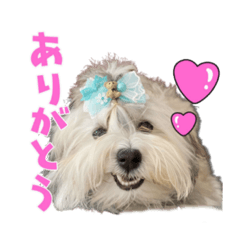 [LINEスタンプ] Mei♡スタンプ(日常)