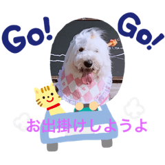 [LINEスタンプ] アルマの呟き