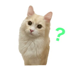 [LINEスタンプ] みさの大福