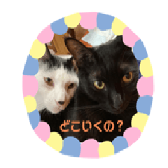 [LINEスタンプ] ジュリ＆ココ
