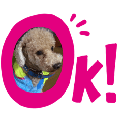 [LINEスタンプ] ぼくはそら！