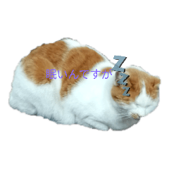 [LINEスタンプ] dog＆cat0405