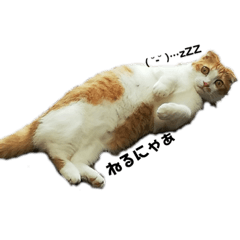 [LINEスタンプ] うちのあんこときなこ