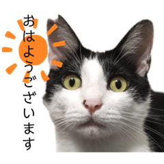[LINEスタンプ] シモfamily