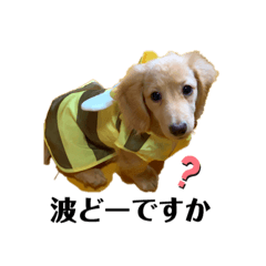 [LINEスタンプ] ダックス☆ひろしの海系スタンプ