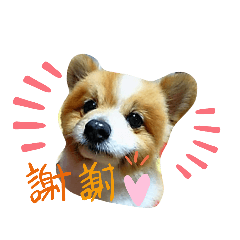 [LINEスタンプ] 陸＆空くん一家と友達