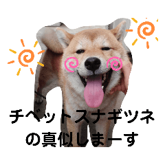 [LINEスタンプ] 柴咲 公
