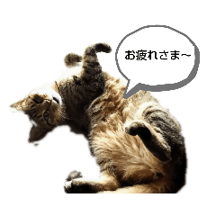 [LINEスタンプ] なおべの部屋