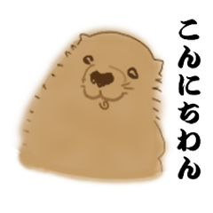 [LINEスタンプ] 長沢の犬（全16種）