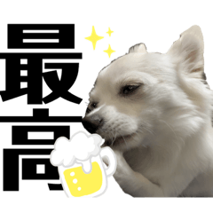 [LINEスタンプ] けんぴち♡さのぴち②