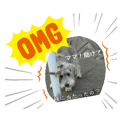 [LINEスタンプ] ダンルゥスタンプ