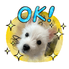 [LINEスタンプ] ウェスティスタンプ Westie Stamp