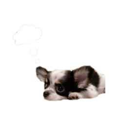 [LINEスタンプ] lua❤︎