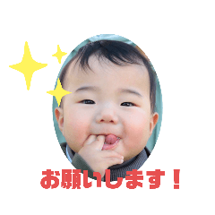 [LINEスタンプ] 冬都スタンプ