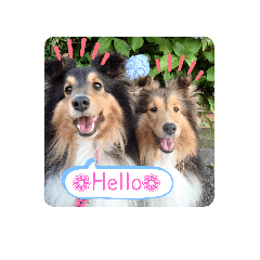 [LINEスタンプ] はるこな＋αスタンプ