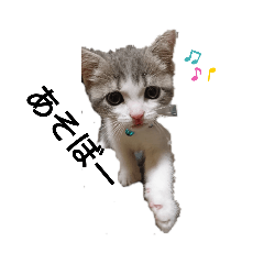 [LINEスタンプ] sora.mikan