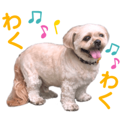 [LINEスタンプ] ひらやま犬2