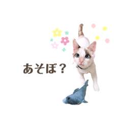 [LINEスタンプ] むちむち、まろしゃん