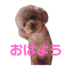 [LINEスタンプ] はなつみきなこ