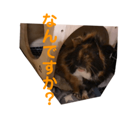 [LINEスタンプ] うちの日村さん と 神田さん