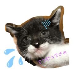 [LINEスタンプ] モニカ達の小言2️⃣