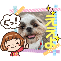 [LINEスタンプ] ハウくんスタンプ6-ええよ