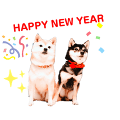 [LINEスタンプ] 豆柴親子 ぼたんとてつこのスタンプDX