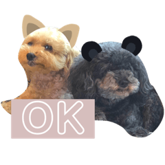 [LINEスタンプ] こっぱうスタンプ