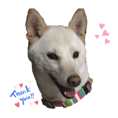 [LINEスタンプ] ごやめい2
