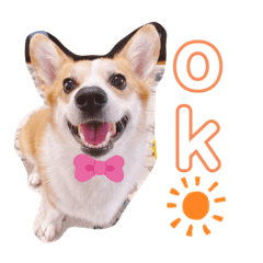 [LINEスタンプ] 愛犬チャオズ