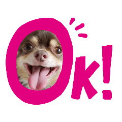 [LINEスタンプ] チワワのやまちゃん お仕事編