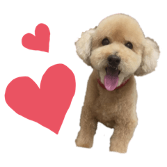 [LINEスタンプ] きなこおぉ
