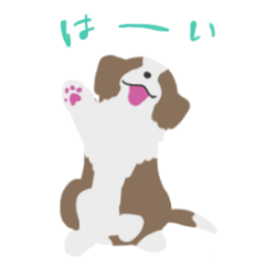 [LINEスタンプ] パピボー ボーダーコリー