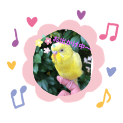 [LINEスタンプ] ゆずちゃんです♪