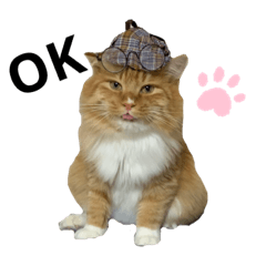 [LINEスタンプ] うちのもふもふ。