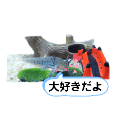 [LINEスタンプ] ウーパールーパーのウパパ♡スタンプ♡