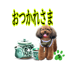 [LINEスタンプ] そら豆くん あいさつ