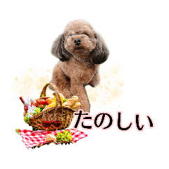 [LINEスタンプ] そら豆くん たのしい
