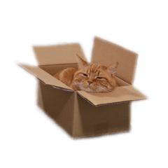 [LINEスタンプ] ビスくんのスタンプ③
