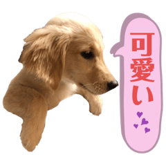 [LINEスタンプ] もっちゃん日常スタンプ