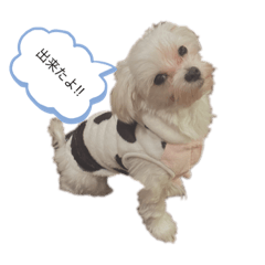 [LINEスタンプ] 我が家の癒しワンコ♡