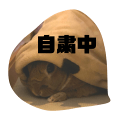 [LINEスタンプ] 気分屋うさぎのラテ様。3