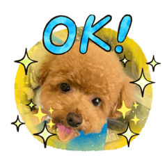 [LINEスタンプ] びびちゃんスタンプ 1