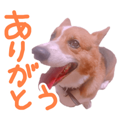 [LINEスタンプ] ピースのすたんぷ