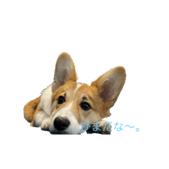 [LINEスタンプ] Leon☆1