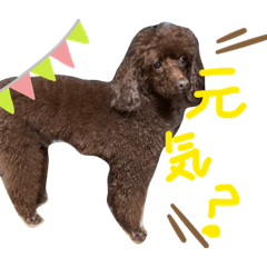 [LINEスタンプ] サスケとまりも！