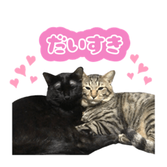 [LINEスタンプ] かいれんスタンプ2