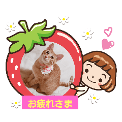 [LINEスタンプ] はじめまして むぎたんです
