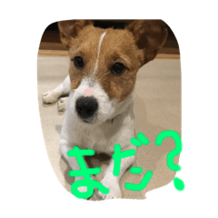 [LINEスタンプ] ウィルくん0607